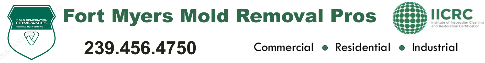 Fort Myers Mold Removal Pros