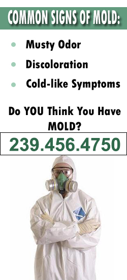 Fort Myers Mold Remediation Contractor